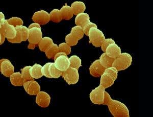 New Scientist. Science news and long reads from expert journalists, covering developments in science, technology, health and the environment on the website and the magazine.