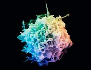 Infectious moods: T-cell recall