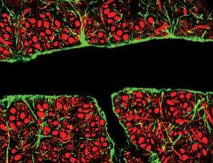 New Scientist. Science news and long reads from expert journalists, covering developments in science, technology, health and the environment on the website and the magazine.