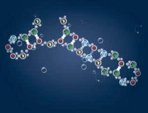 Online game helps predict how RNA folds