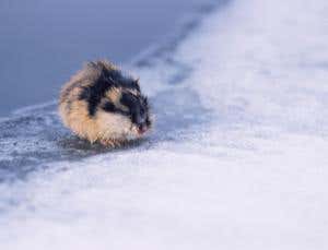 New Scientist. Science news and long reads from expert journalists, covering developments in science, technology, health and the environment on the website and the magazine.