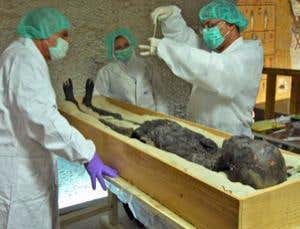 Royal rumpus over King Tutankhamun's ancestry