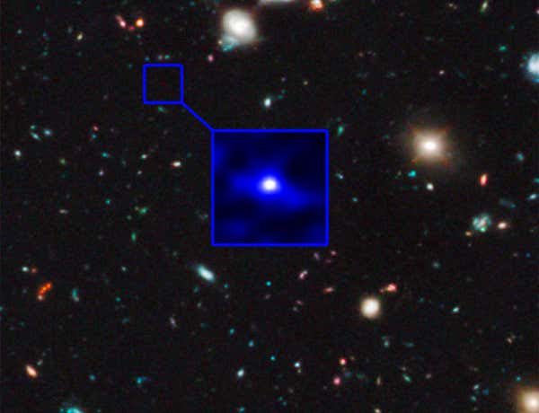 New Scientist. Science news and long reads from expert journalists, covering developments in science, technology, health and the environment on the website and the magazine.