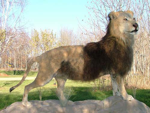 Hunters hunted: The revenge of robo-deer