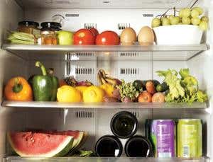 Vaccine fridge keeps its cool during 10-day power cut