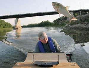 New Scientist. Science news and long reads from expert journalists, covering developments in science, technology, health and the environment on the website and the magazine.