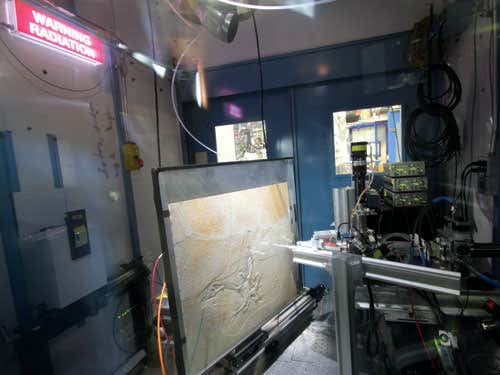 The Thermopolis Archaeopteryx being prepared for scanning 