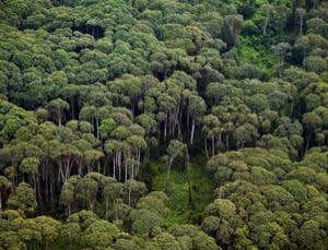 New Scientist. Science news and long reads from expert journalists, covering developments in science, technology, health and the environment on the website and the magazine.