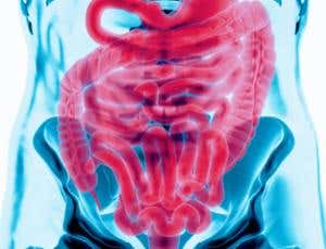 New Scientist. Science news and long reads from expert journalists, covering developments in science, technology, health and the environment on the website and the magazine.