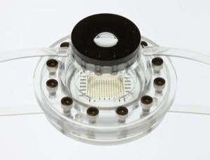 Compact 'eyeball' camera stretches to zoom