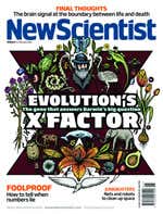 New Scientist issue 2799 cover