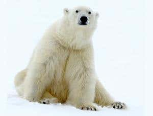 Win the trip of a lifetime with a hot engineering tip