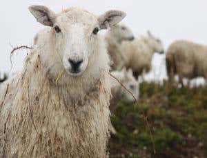 New Scientist. Science news and long reads from expert journalists, covering developments in science, technology, health and the environment on the website and the magazine.