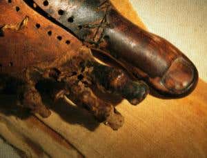 New Scientist. Science news and long reads from expert journalists, covering developments in science, technology, health and the environment on the website and the magazine.