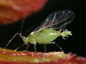 January photo competition winners: Renewal