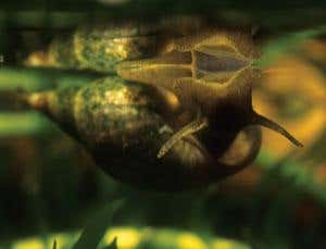 New Scientist. Science news and long reads from expert journalists, covering developments in science, technology, health and the environment on the website and the magazine.