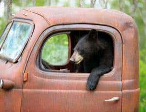 New Scientist. Science news and long reads from expert journalists, covering developments in science, technology, health and the environment on the website and the magazine.