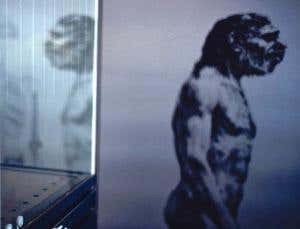 Did Neanderthals use feathers for fashion?