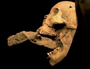 True blood: The real vampire slayers