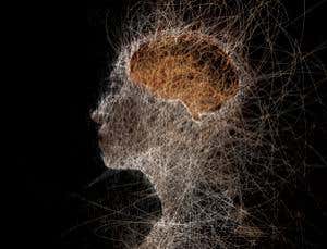 New Scientist. Science news and long reads from expert journalists, covering developments in science, technology, health and the environment on the website and the magazine.