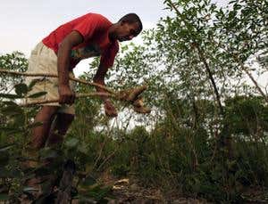 New Scientist. Science news and long reads from expert journalists, covering developments in science, technology, health and the environment on the website and the magazine.