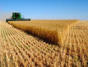 New Scientist. Science news and long reads from expert journalists, covering developments in science, technology, health and the environment on the website and the magazine.