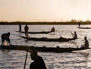 New Scientist. Science news and long reads from expert journalists, covering developments in science, technology, health and the environment on the website and the magazine.