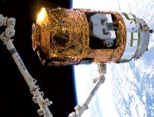 New Scientist. Science news and long reads from expert journalists, covering developments in science, technology, health and the environment on the website and the magazine.