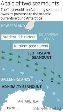 A tale of two seamounts