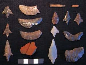 New Scientist. Science news and long reads from expert journalists, covering developments in science, technology, health and the environment on the website and the magazine.