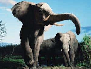 New Scientist. Science news and long reads from expert journalists, covering developments in science, technology, health and the environment on the website and the magazine.