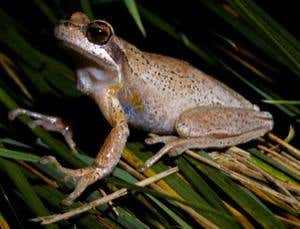 New Scientist. Science news and long reads from expert journalists, covering developments in science, technology, health and the environment on the website and the magazine.