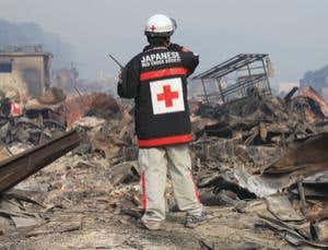 After the flood: triage for disaster recovery