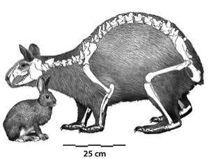 New Scientist. Science news and long reads from expert journalists, covering developments in science, technology, health and the environment on the website and the magazine.
