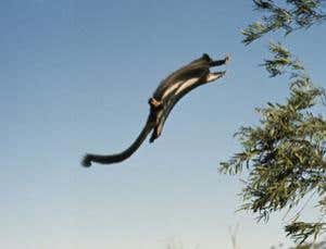 New Scientist. Science news and long reads from expert journalists, covering developments in science, technology, health and the environment on the website and the magazine.