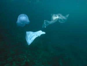 New Scientist. Science news and long reads from expert journalists, covering developments in science, technology, health and the environment on the website and the magazine.