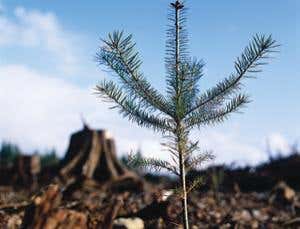 New Scientist. Science news and long reads from expert journalists, covering developments in science, technology, health and the environment on the website and the magazine.