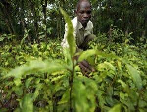 A country with no time for climate change scepticism