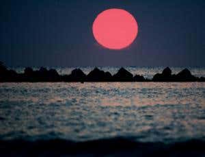 Mass extinctions: Patterns of disasters and rebounds