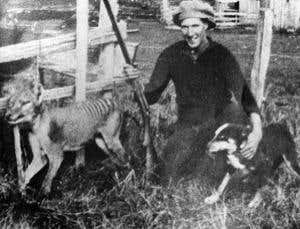 Mass extinctions: Apocalypse now?