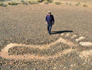 New Scientist. Science news and long reads from expert journalists, covering developments in science, technology, health and the environment on the website and the magazine.