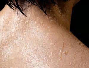 Sweat ducts make skin a memristor