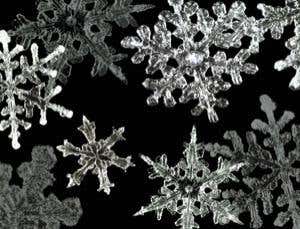 New Scientist. Science news and long reads from expert journalists, covering developments in science, technology, health and the environment on the website and the magazine.