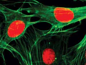 New Scientist. Science news and long reads from expert journalists, covering developments in science, technology, health and the environment on the website and the magazine.