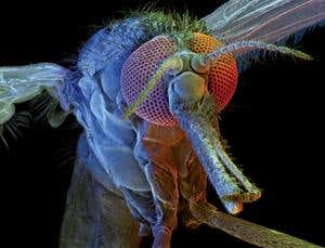 New Scientist. Science news and long reads from expert journalists, covering developments in science, technology, health and the environment on the website and the magazine.