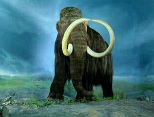 Mammoth mystery: Why giants no longer rule the north
