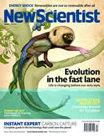 New Scientist issue 2806 cover