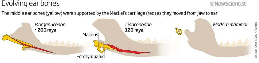 New Scientist. Science news and long reads from expert journalists, covering developments in science, technology, health and the environment on the website and the magazine.