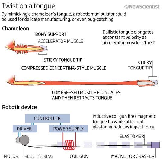 New Scientist. Science news and long reads from expert journalists, covering developments in science, technology, health and the environment on the website and the magazine.