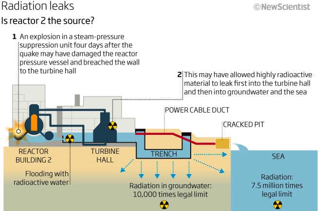 New Scientist. Science news and long reads from expert journalists, covering developments in science, technology, health and the environment on the website and the magazine.